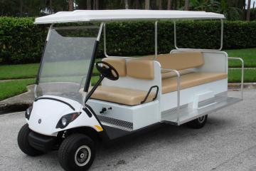 8 passenger golf cart